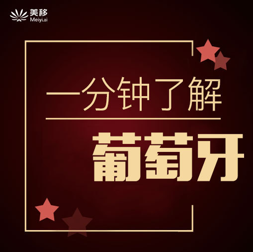 一分钟了解葡萄牙|移民百问