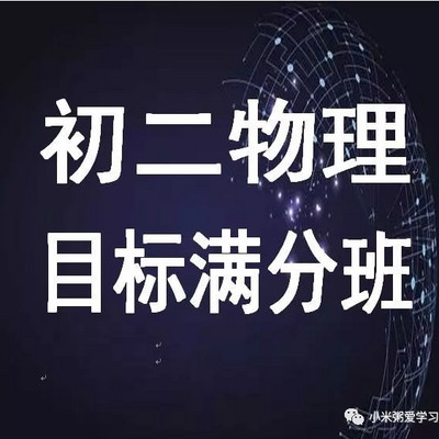 初二物理 目标满分