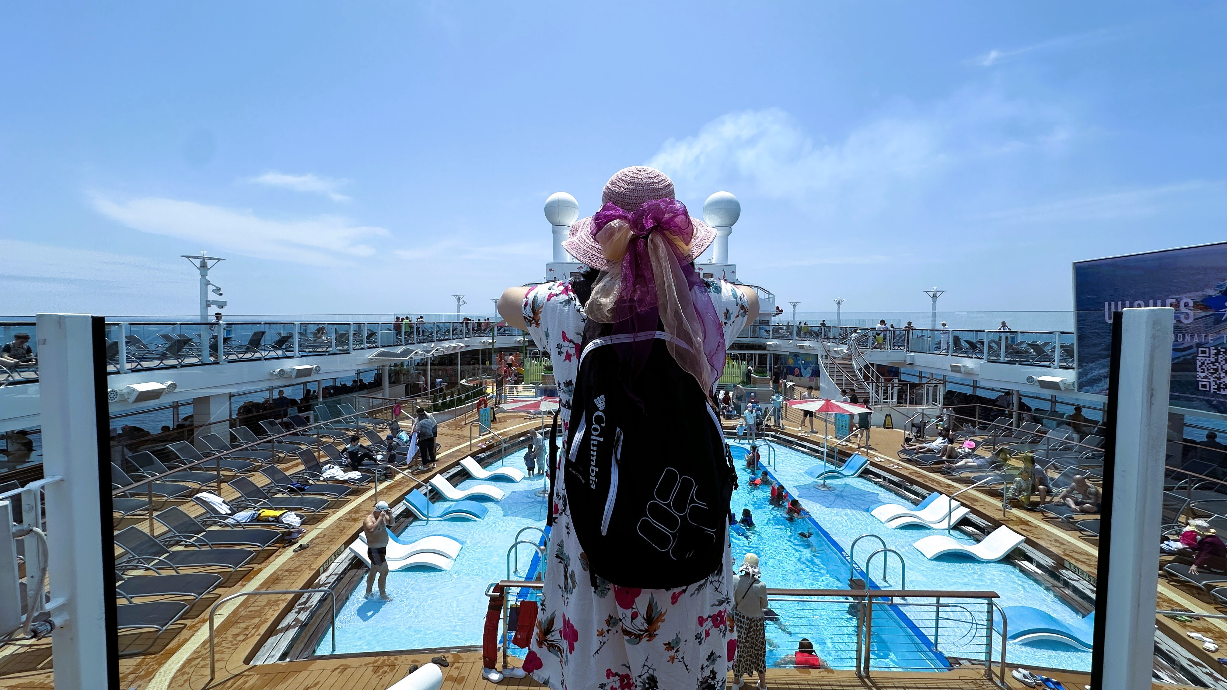 猫外婆退休生活日记