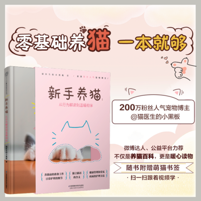 新手养猫 新手养猫