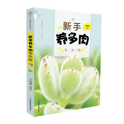 新手养多肉零失败 新手养多肉零失败