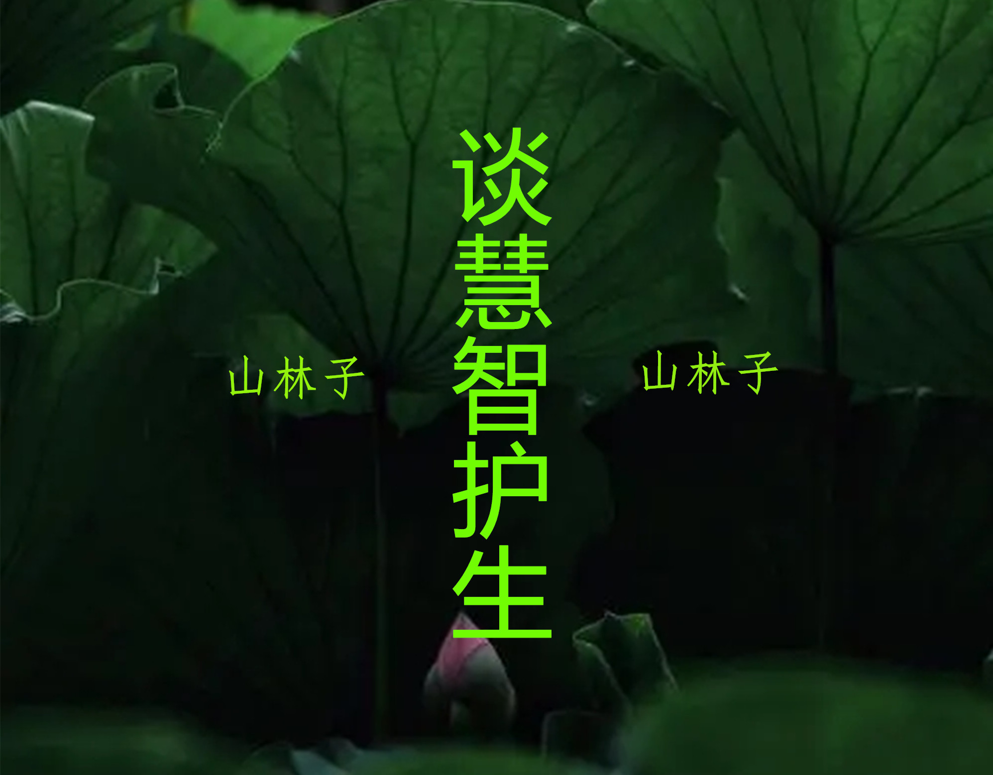 《山林子谈慧智护生》鹤清智慧教育工作室