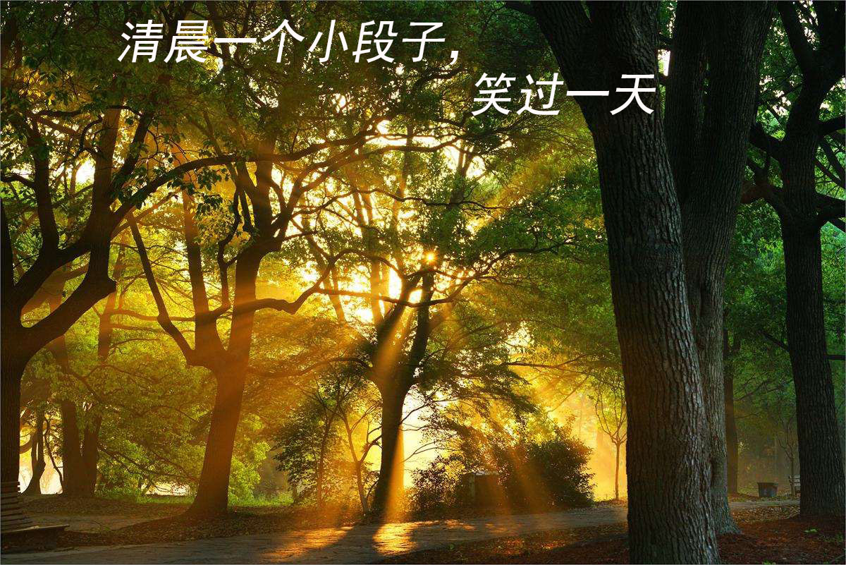 清晨一个小段子，笑过一天