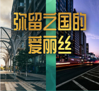 《弥留之国的爱丽丝》影视解说