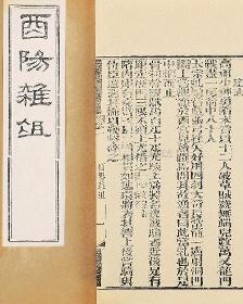 酉阳杂俎（文言+白话）