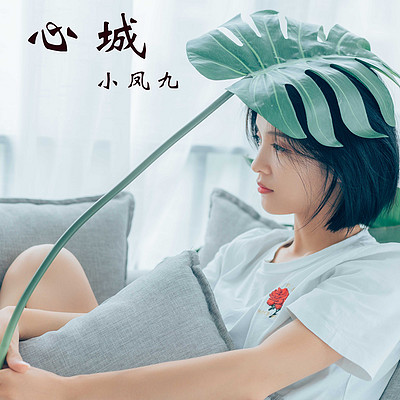 小凤九:心城 小凤九:心城