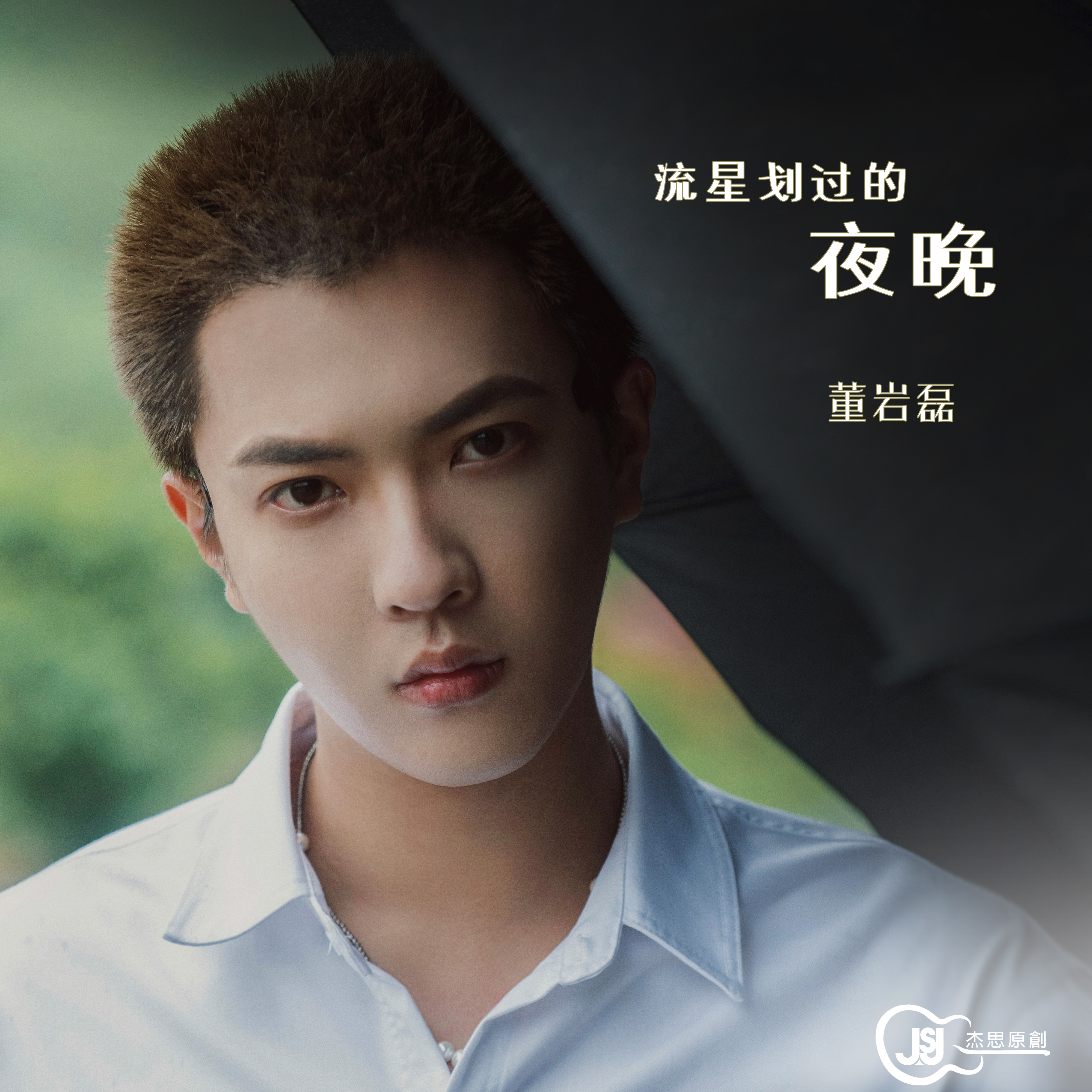 董岩磊：流星划过的夜晚