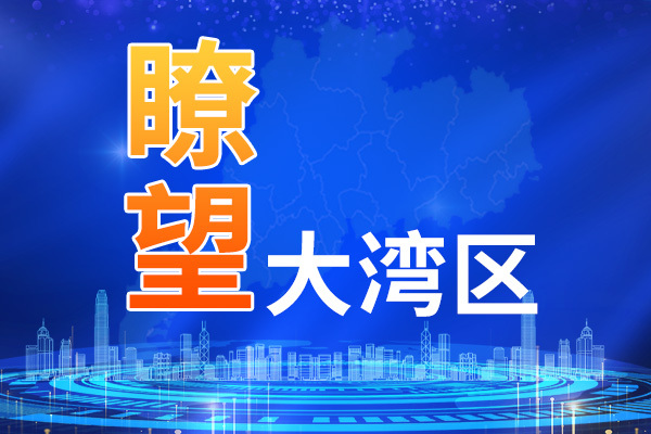 瞭望大湾区