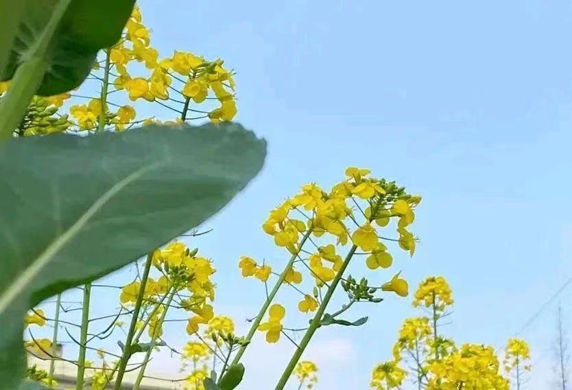 夕颜的职场心得分享3号
