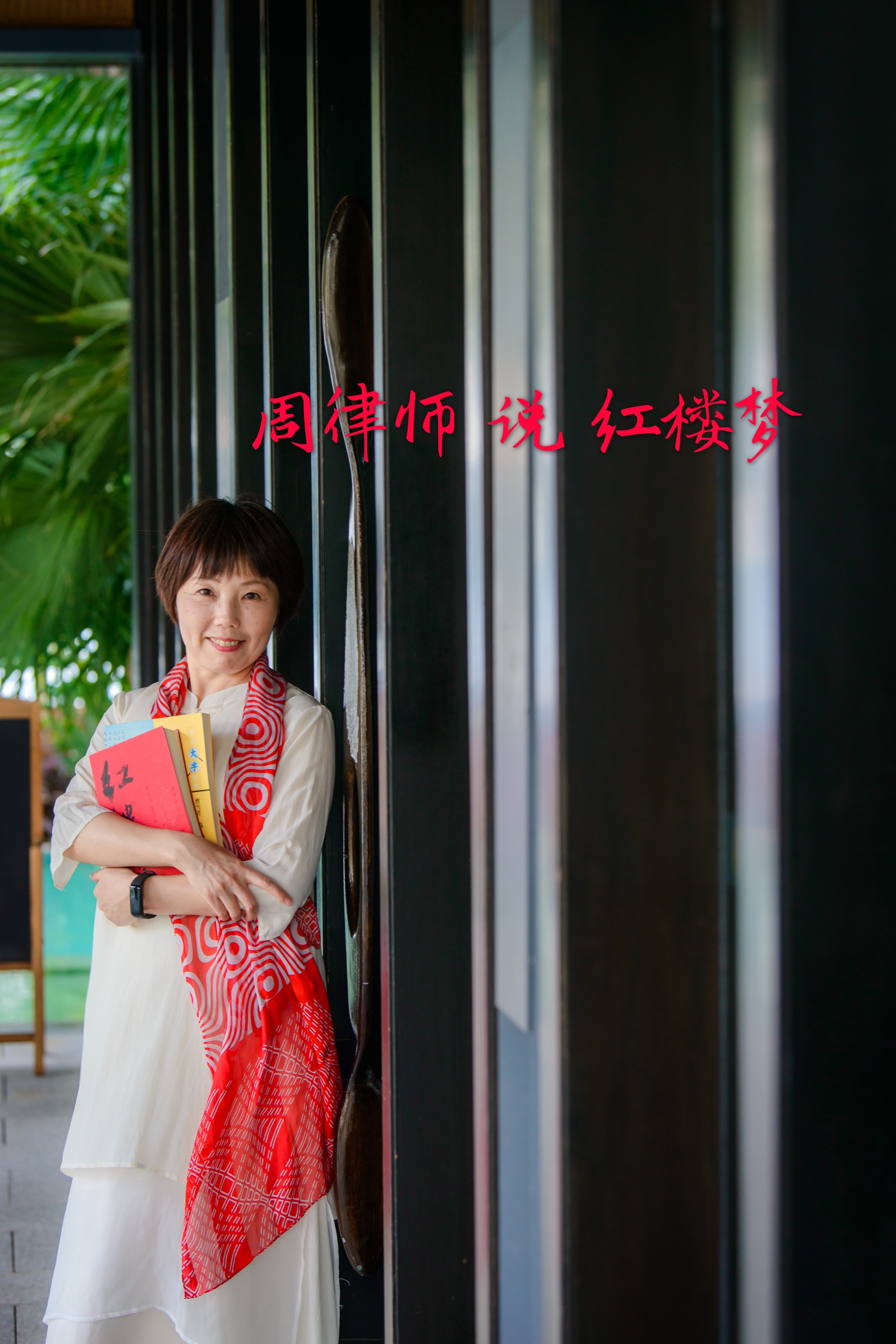 周律师说红楼梦