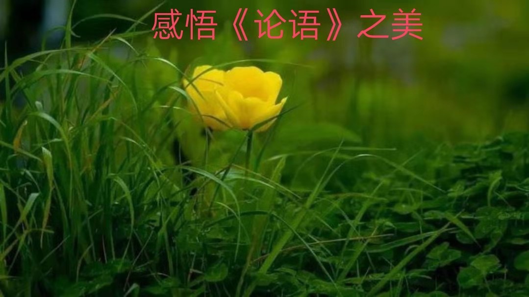 日拱一卒 感悟《论语》之美