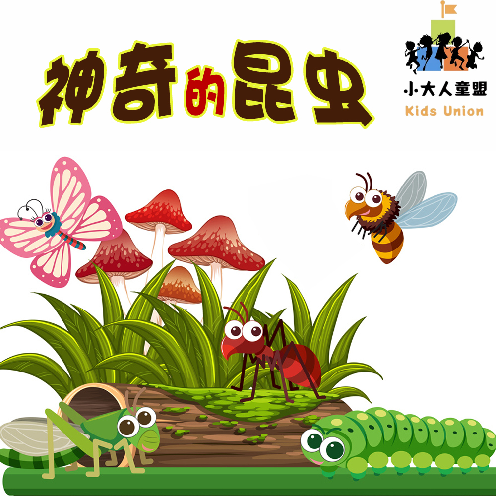 神奇的昆虫