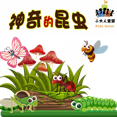 神奇的昆虫