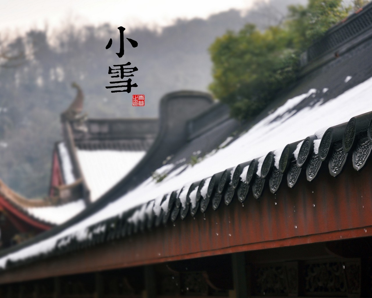 核心词汇LEVEL 5