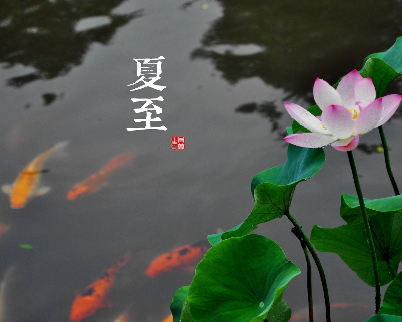 核心词汇LEVEL 1
