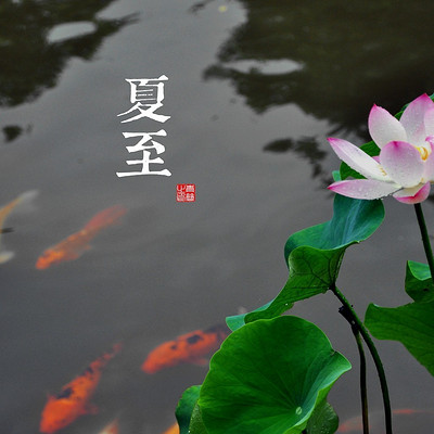 核心词汇LEVEL 1 核心词汇LEVEL 1
