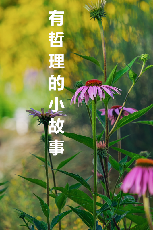 有哲理的小故事
