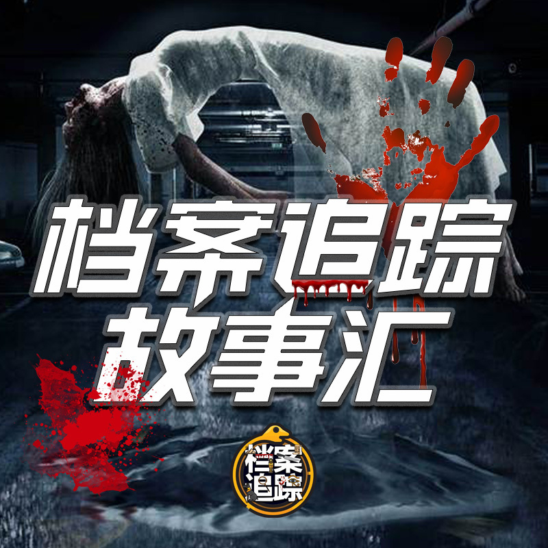 档案追踪故事汇