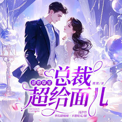 盛婚爆宠:总裁超给面儿 盛婚爆宠:总裁超给面儿