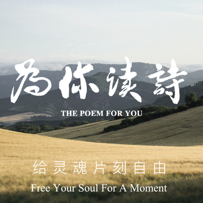 为你读诗