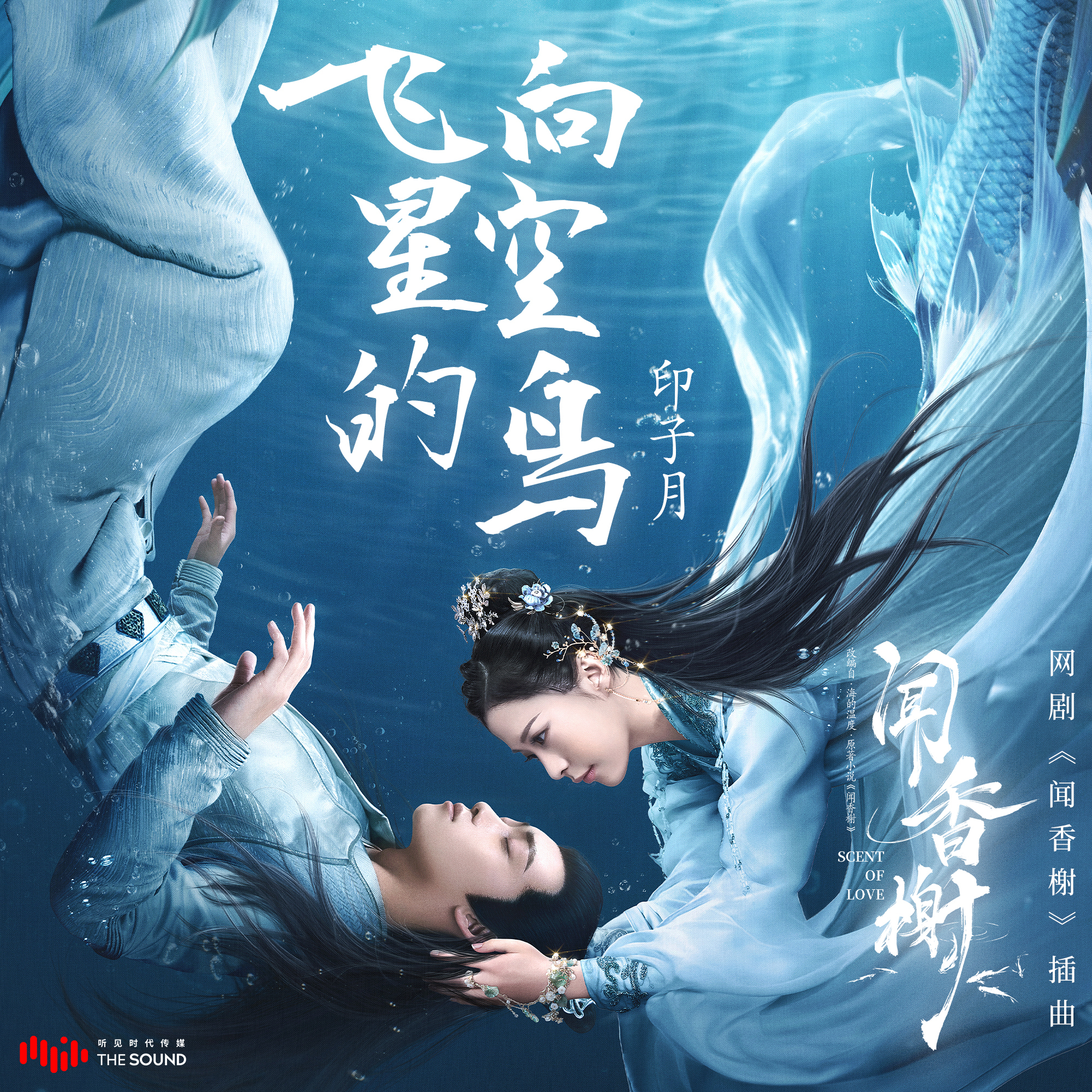 《飞向星空的鸟》（网剧《闻香榭》插曲）