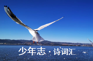 少年志·诗词汇