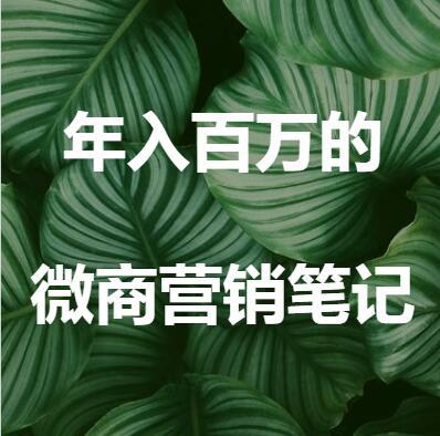 年入百万的微商营销笔记