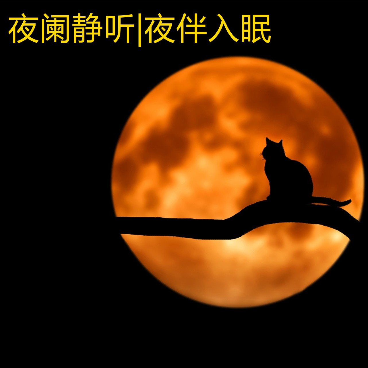 夜阑静听|夜伴入眠