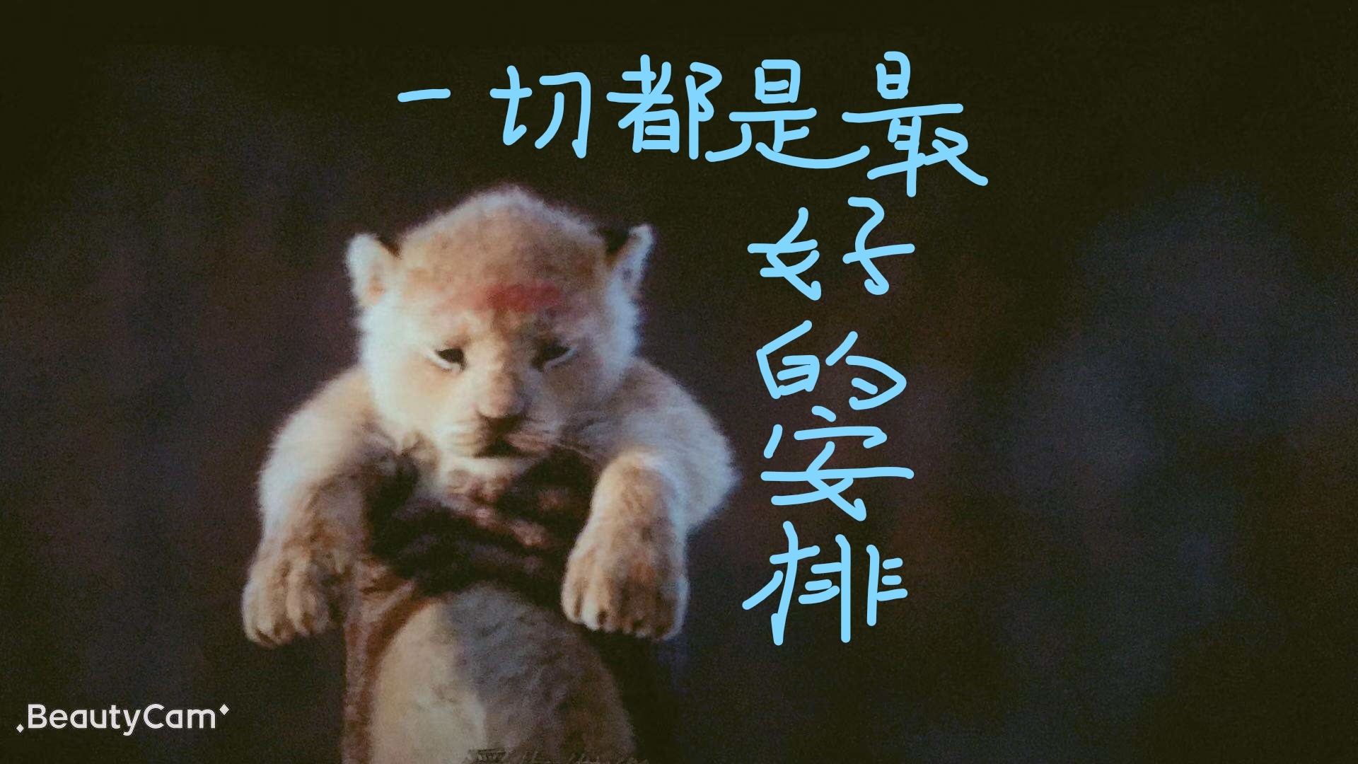 一切都是最好的安排