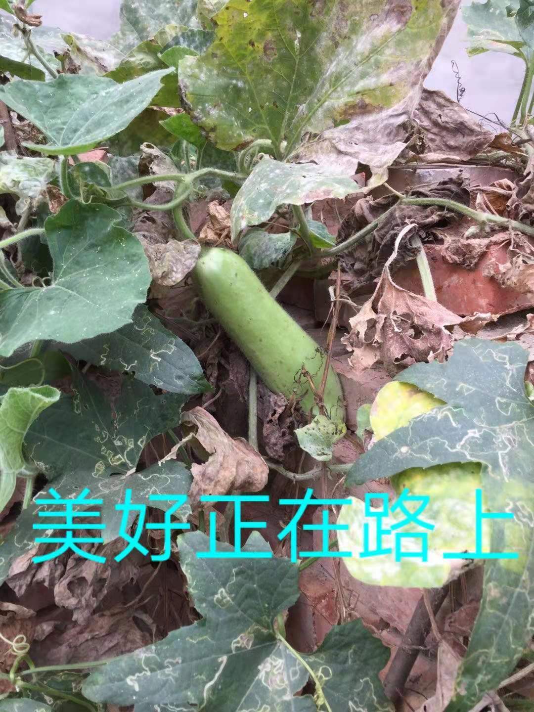 美好正在路上