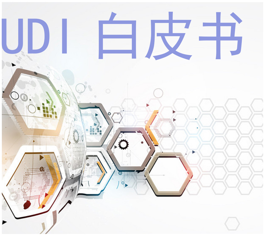 UDI—白皮书