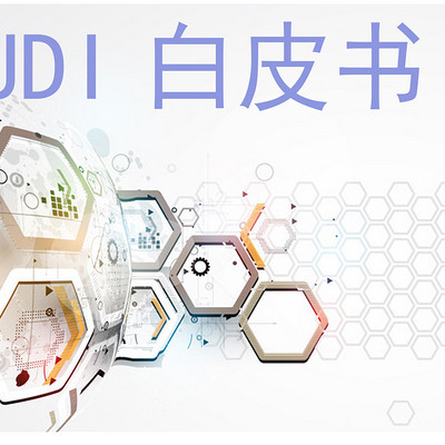 UDI—白皮书