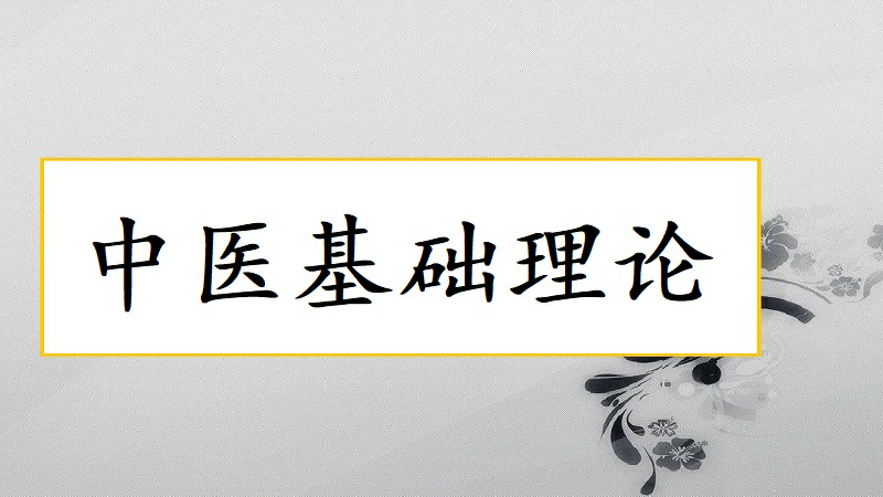 中医基础理论音频集