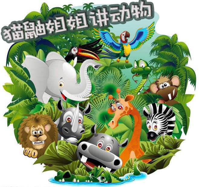 猫鼬姐姐讲动物