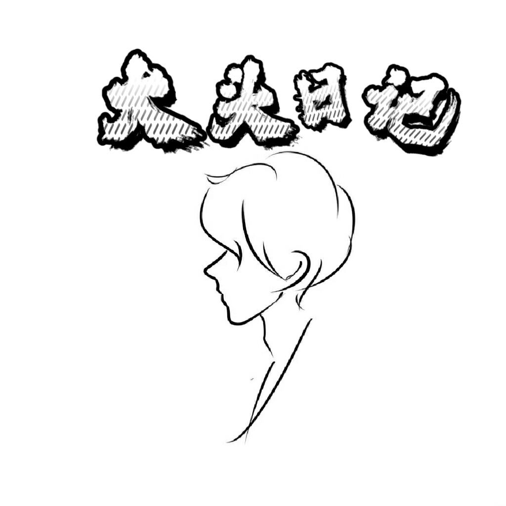 大头日记