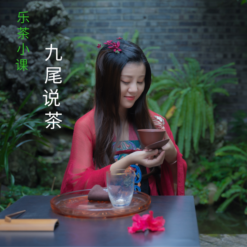 【乐茶小课】九尾说茶|关于白茶的百科全书