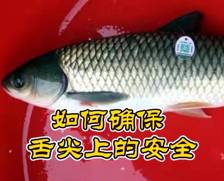 2021湖北三农观察