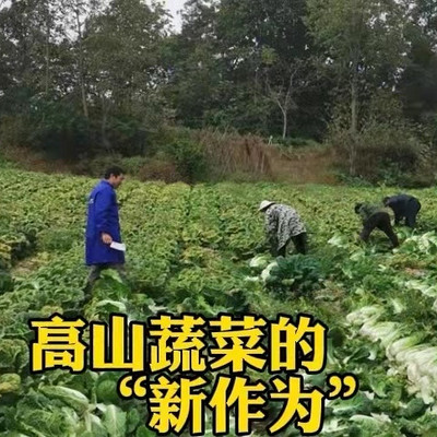 探寻湖北蔬菜黑科技