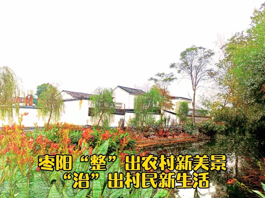 枣阳：“整”出农村新美景