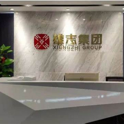 雄志集团
