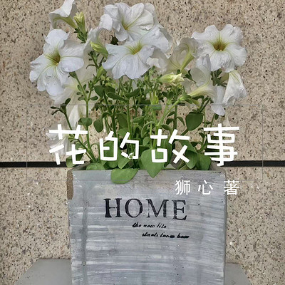 花的故事