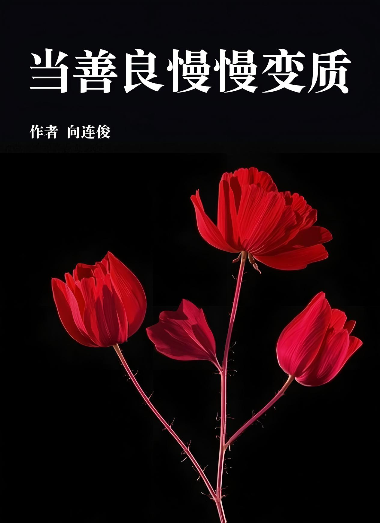 当善良慢慢变质