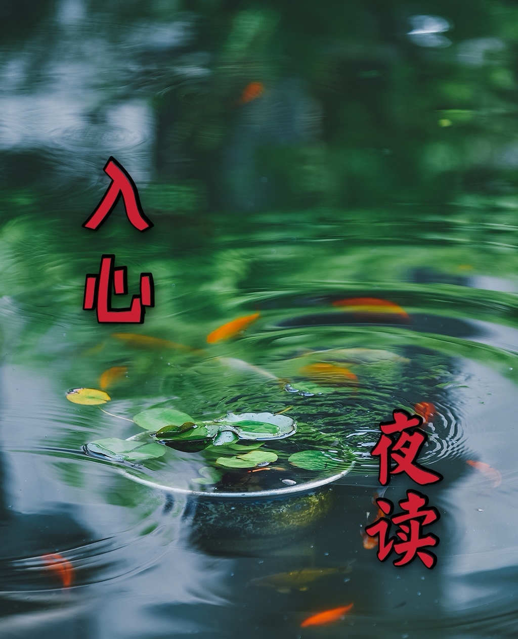 入心夜读