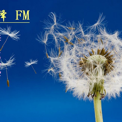 清泽FM--特殊教育，别样人生