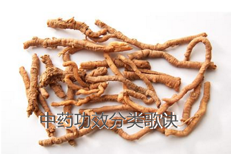 中药功效分类歌诀