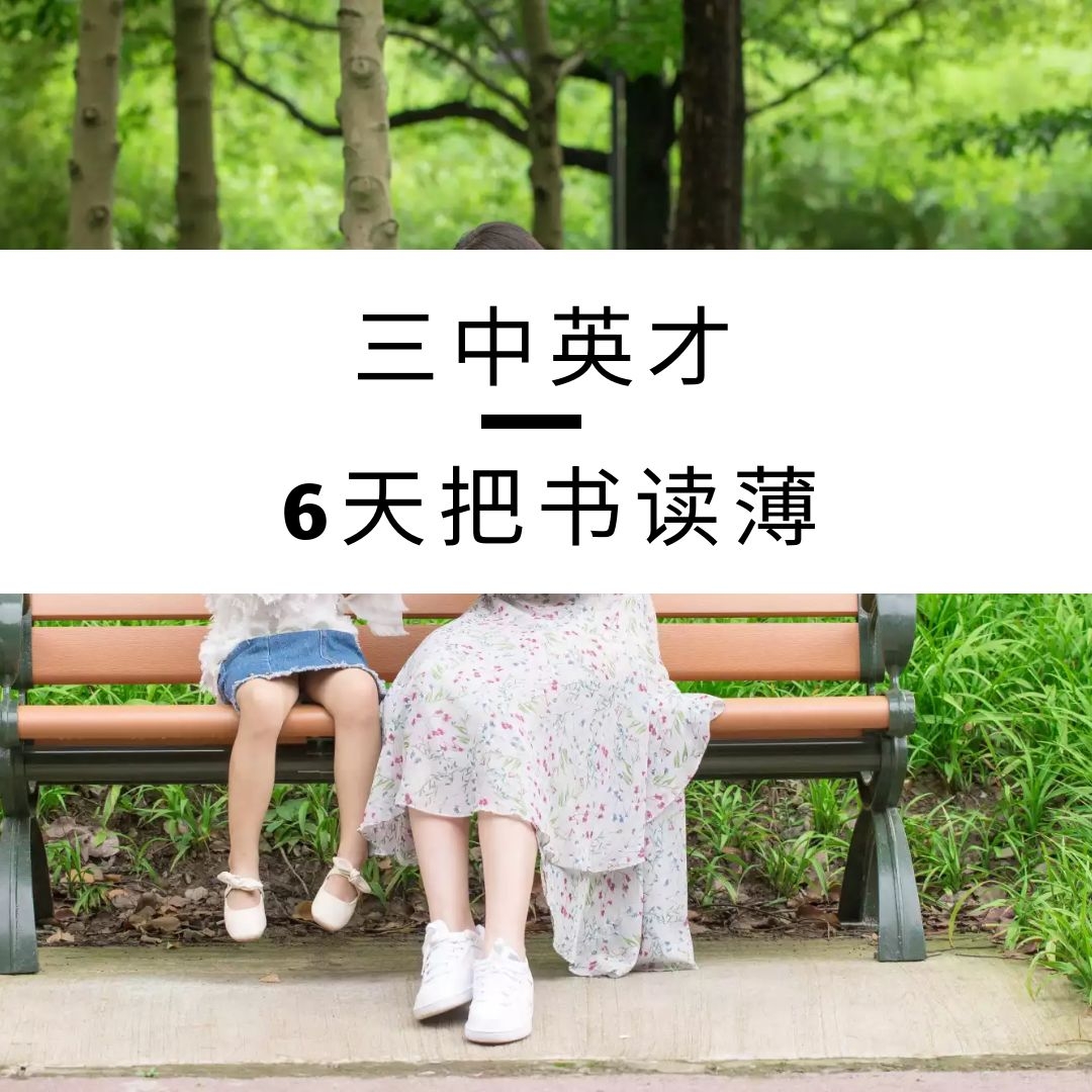 6天把书读薄
