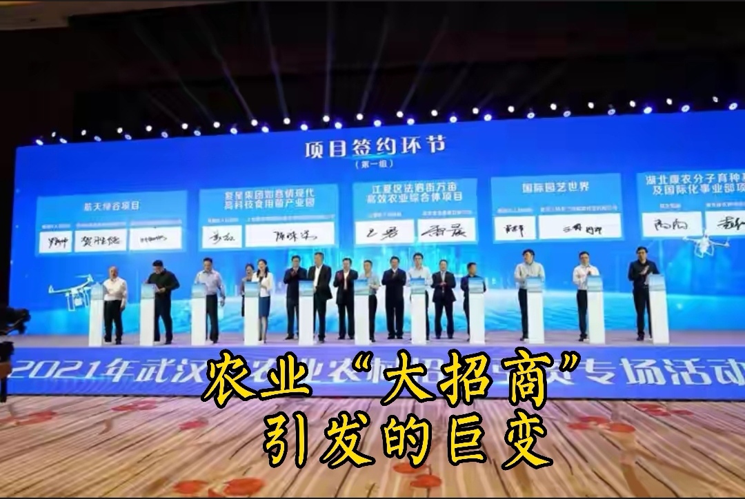2021湖北三农观察