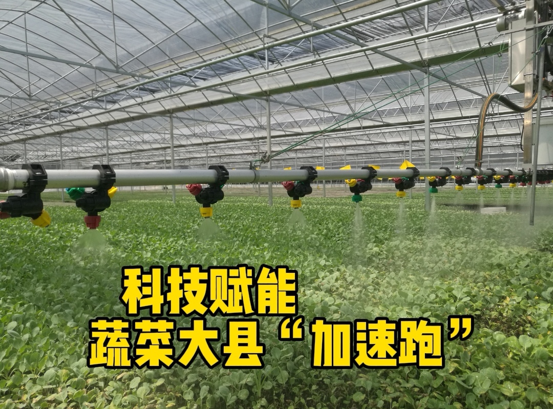 探寻湖北蔬菜黑科技