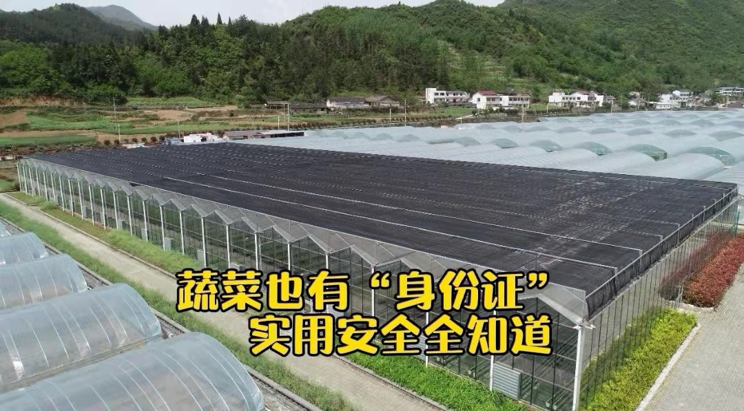 探寻湖北蔬菜黑科技