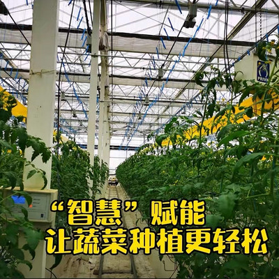 探寻湖北蔬菜黑科技